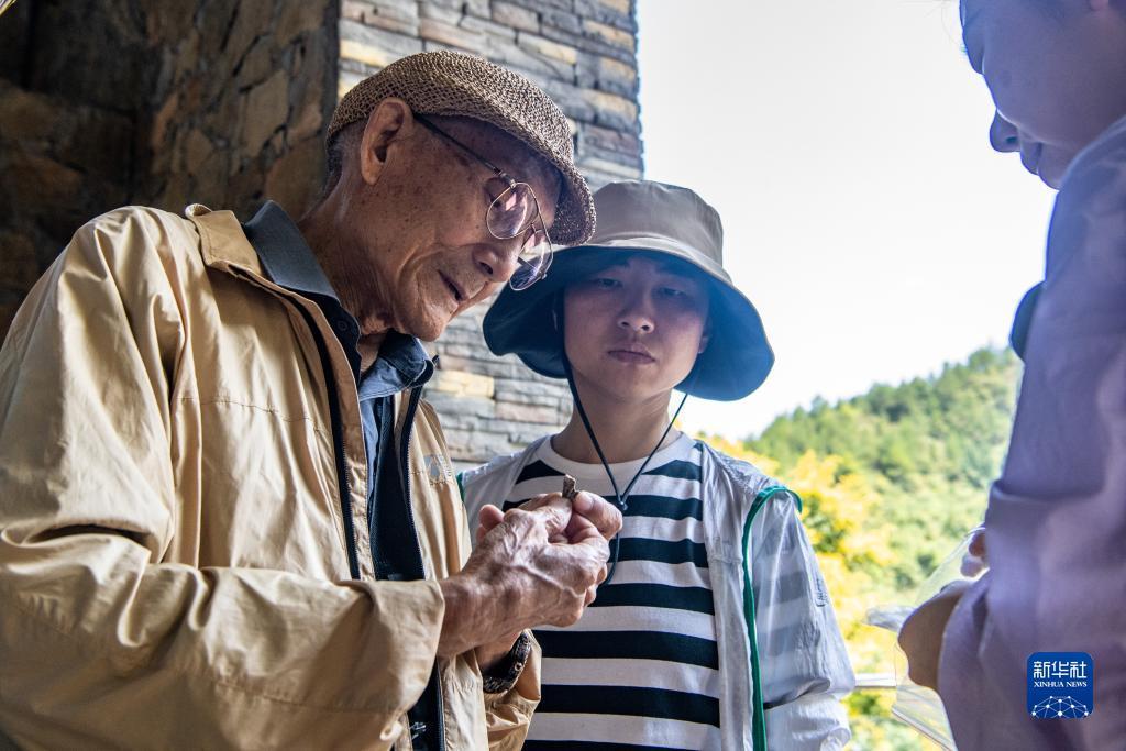 零点 棋牌